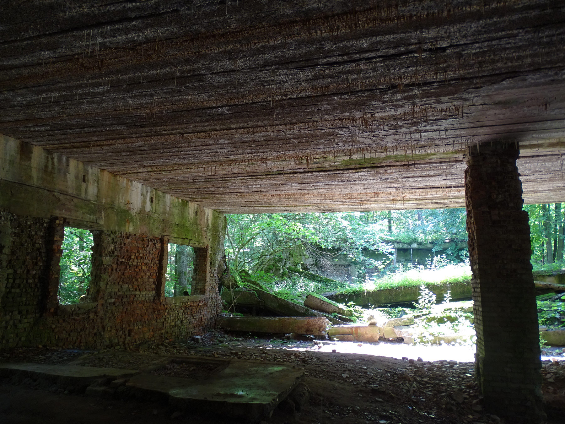 Ruins of Bunker Complex Wolfsschanze - Hitler Eastern Headquarters, Gierloz, Masuria